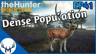 Fresh Start Ep41  theHunter Call of the Wild [upl. by Faulkner]