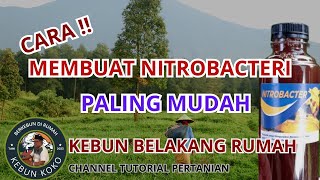 CARA MEMBUAT NITROBACTER PALING MUDAH [upl. by Mohun]