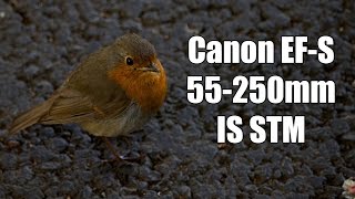 Canon EFS 55250mm f456 IS STM Sample Photos 4K [upl. by Kral]