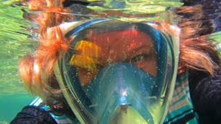 Snorkeling in Cuba Memories Jibacoa resort [upl. by Nelo656]