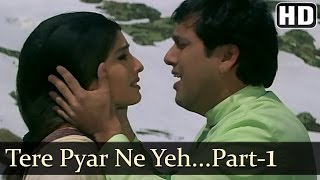 Tere Pyar Ne  Govinda  Raveena Tandon  Rajaji  Udit Narayan  Anand Milind  Hindi Hit Songs [upl. by Ricardo]