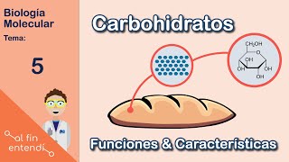 ¿Qué NECESITAS saber sobre los carbohidratos quotAzúcaresquot [upl. by Horatius]