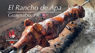 La Ruta del BBQ en Puerto Rico  El Rancho de Apa en Guaynabo 11 bbqpr rutabbqpr charneco EP152 [upl. by Hooker441]