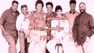 Placa Luminosa  Fica comigo [upl. by Nadnal222]