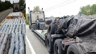 RCMP seize transport truck full of pot LSD magic mushrooms [upl. by Tam930]