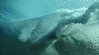 Bodyboarding  Teahupoo Challenge 2003  excerpt 3 [upl. by Peppy]