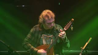 🔴 The Irish Washerwoman Irish Jig  Cittern [upl. by Dloniger]