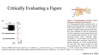 How to Critically Evaluate a Figure [upl. by Aduh]