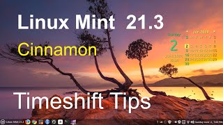 Linux Mint 213  Cinnamon  Timeshift Tips [upl. by Sofia]