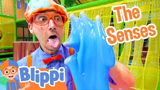 Blippi Learns the 5 Senses at a Play Place  Blippi Full Episodes  Educational Videos  Blippi Toys [upl. by Valenza]