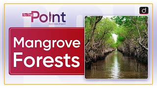 Mangroves Forests  To the Point  Drishti IAS English [upl. by Harifaz483]