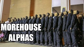 The Alpha Rho chapter of Alpha Phi Alpha at Morehouse College [upl. by Analed]