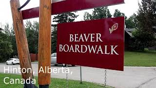 An Afternoon in Hinton Alberta  the Beaver Boardwalk and Happy Creek Trail System [upl. by Stambaugh]