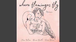 Where Flamingos Fly [upl. by Affra]