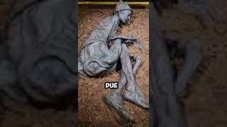 Exceptional Mummy 🕰️the Tollund Man history historyfacts shorts [upl. by Aneert]