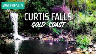 CURTIS FALLS  Mount Tamborine Gold Coast  GoPro 9  5K [upl. by Nnylsoj]