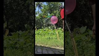 no551 hydrodynamic levitation demonstration of physics concepts kalponik duniya experiment bengali [upl. by Kappenne]