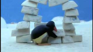 Pingu Pingu builds an Igloo [upl. by Anneirda]