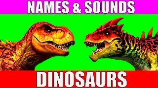 Dinosaurs Names and Sounds for Kids to Learn  Learn Dinosaur Names and Sounds for Children [upl. by Haig]