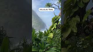 The best hikes to do in Kauai Hawaii [upl. by Lorrimor380]