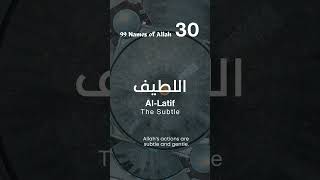 3099 Names of Allah AlLatif اللطيف [upl. by Notnarb]