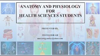 ANATOMICAL POSITION ANATOMICAL PLANES DIRECTIONAL TERMS IN ANATOMY ABDOMINAL QUADRANTS amp REGIONS [upl. by Moraj267]