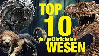 TOP 10 der GEFÄHRLICHSTEN TIERWESEN aus Harry Potter 💀 [upl. by Lennaj]