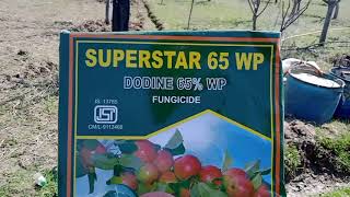 SUPERSTAR  Dodine 65 WP  Fungicide  2nd Spray of the seasonwithout HMO  FIL Industries [upl. by Drhacir500]