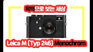 라이카 모노크롬  흑백으로 보는 세상 Leica M Typ 246 Monochrom 사진위주 리뷰 [upl. by Adnylam]