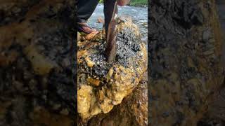 MindBlowing Rock Hack You Never Knew rockcracking rockhounding rockbreaking treasure shorts [upl. by Painter]