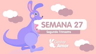 Semana 27 de embarazo  Desarrollo del bebé y cambios en tu cuerpo [upl. by Ennasor]