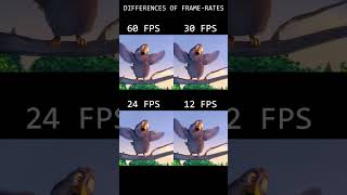 Differences between fps 60fps 30fps 24fps 12fps [upl. by Zaragoza]