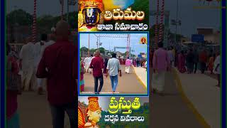 Tirumala latest News amp present Darshan Updates tirumalanews dailyupdatestirumala ttd3 [upl. by Bev]