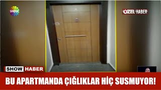 Bu apartmanda çığlıklar hiç susmuyor [upl. by Wilmer]