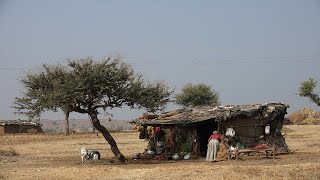 Bedouin Life [upl. by Ynaffi]