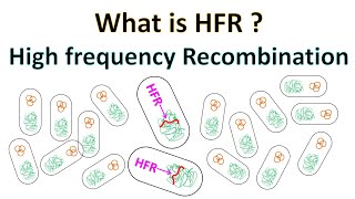 HFR  High Frequency Recombination [upl. by Dlaner]