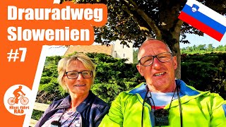 Auf dem Drauradweg in Slowenien  von Lavamünd nach Maribor  Etappe 7 [upl. by Hulda27]