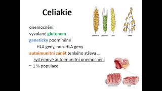 Diagnostika a léčba celiakie u dospělých a další onemocnění vyvolaná lepkem [upl. by Elok]