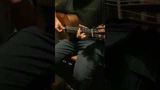 Annies Song  John Denver  Cover classical guitar Shorts [upl. by Dacey62]