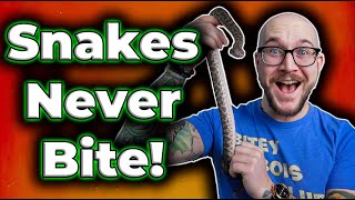 These Pet Snakes WIll NEVER Bite You [upl. by Derayne]