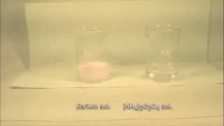 Reaction of barium Solution with Ammonium Oxalate solution [upl. by Gravante296]