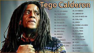 Tego Calderon  Exitos Mix Lo MEJOR EXITOS 2021 [upl. by Gwenore]