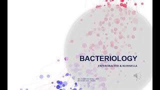 Bacteriology Part 4 Family Enterobacteriaceae Genus Enterobacter and Klebsiella [upl. by Saxon985]