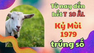 HỢP VÍA PHẬT BÀ tuổi Kỷ Mùi 1979 từ nay đến hết tháng 10 âm lịch ts [upl. by Nwahsirhc]