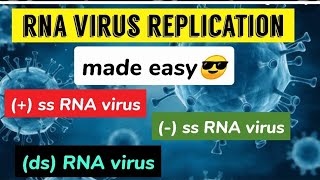 RNA virus Replication  ss RNA   ssRNA ds RNA virus  made easy😎 [upl. by Nosnarb]