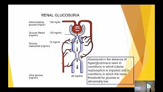 UA Lecture 5 Glucose and Ketones [upl. by Ashia]