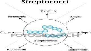 شرح محاضرة الميكرو streptococci اولى تمريض [upl. by Asenad]