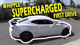 Whipple Supercharger First Drive  Drive with Lethal  S3 EP2 [upl. by Ueih]