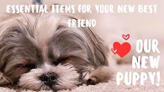 MustHave Items for New Dog Owners  Dont Forget These Essentials [upl. by Dore]