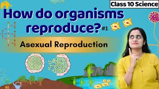 How do Organisms reproduce Class 10th CBSE  Part 1  Asexual Reproduction  NCERT Chapter 7 [upl. by Gnehc]